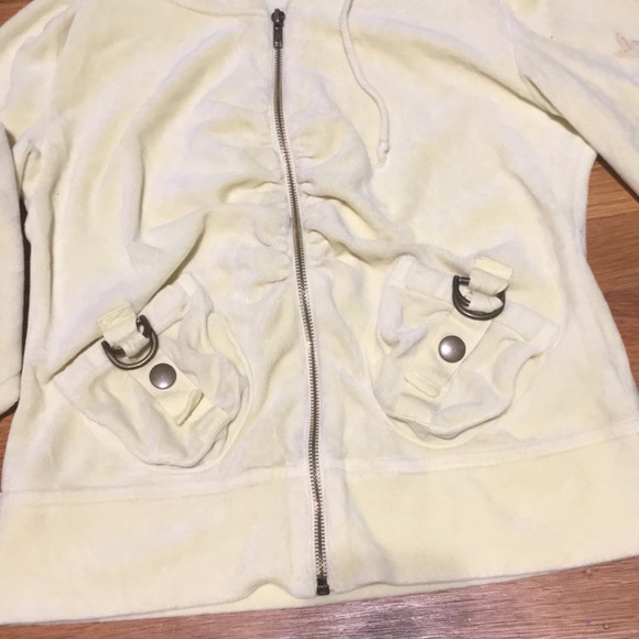 Yellow jacket - Picture 3 of 3